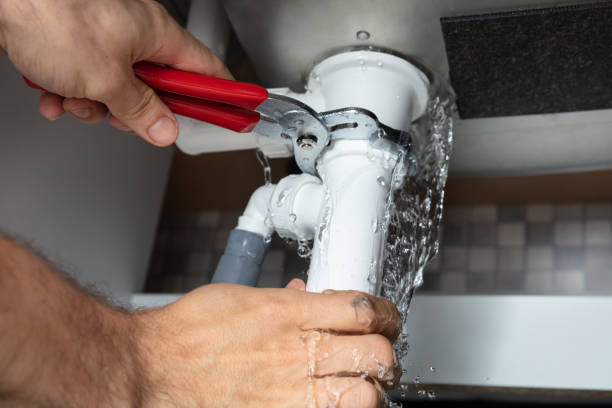 Best Mold removal after water damage  in Walkerton, IN