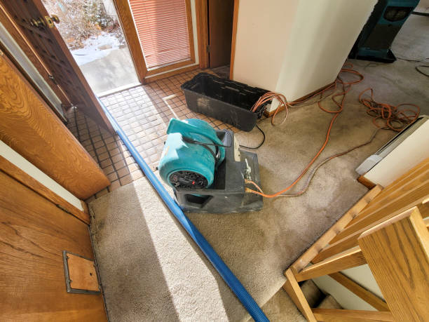 Best 24-hour water damage restoration  in Walkerton, IN