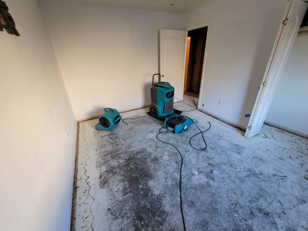 Best Flood restoration services  in Walkerton, IN