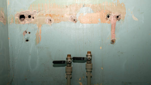 Best Local water damage restoration  in Walkerton, IN