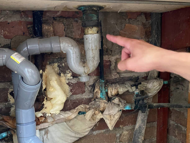 Best Water damage restoration specialists  in Walkerton, IN