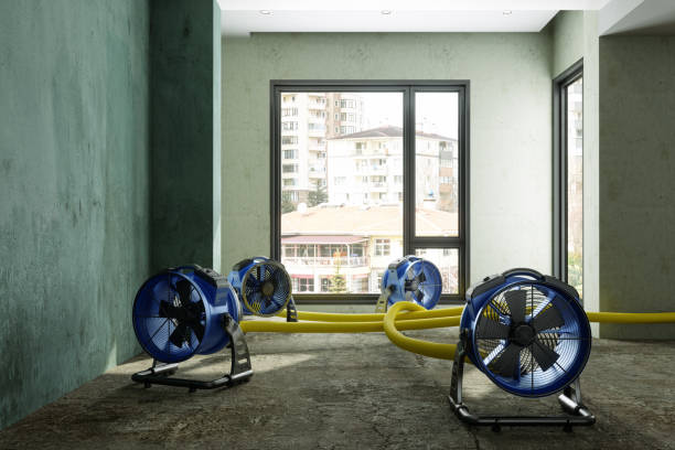 Best Water damage restoration near me  in Walkerton, IN